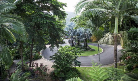 Oasis At Palm Cove - Accommodation Mount Tamborine 7