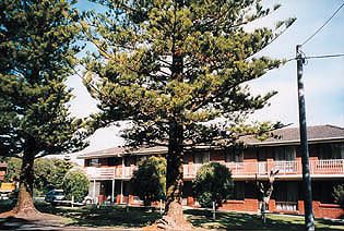 Eastern Beach Holiday Units - Accommodation Mount Tamborine 0