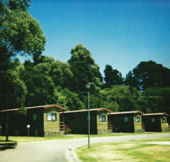 Katoomba Falls Caravan Park - Accommodation Mount Tamborine