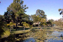 Twin Lakes Hotel - Accommodation Mount Tamborine 0