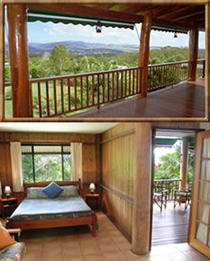 Atherton Blue Gum - Accommodation Mount Tamborine 0