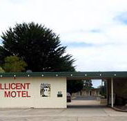 Millicent Motel - Accommodation Mount Tamborine