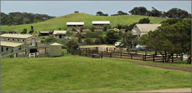 Cape Schanck VIC Accommodation Mount Tamborine