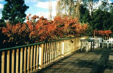 Heronswood House - Accommodation Mount Tamborine 5