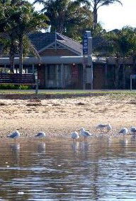 Best Western Coastal Waters Motor Inn - Accommodation Mount Tamborine 2