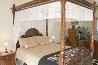 Pepper Tree Ridge B And B - Accommodation Mount Tamborine 3