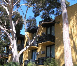 Pathfinder Motel - Accommodation Mount Tamborine 1