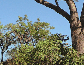 Lakeview Apartments Kununurra - Accommodation Mount Tamborine 3