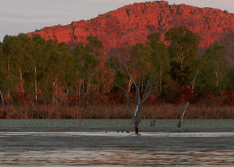Lakeview Apartments Kununurra - Accommodation Mount Tamborine 4