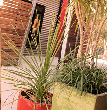 Adelphi Apartments - Accommodation Mount Tamborine 1