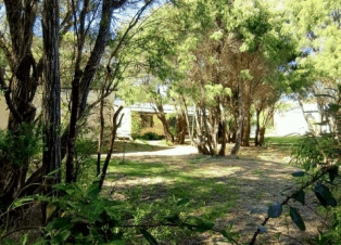 Peaceful Bay Chalets - Accommodation Mount Tamborine 4