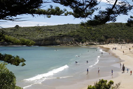 Southern Ocean Motor Inn Port Campbell - Accommodation Mount Tamborine 3