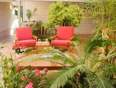 Adamsons Riverside Accommodation - Accommodation Mount Tamborine 1