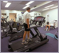 Hotel Causeway - Accommodation Mount Tamborine 5