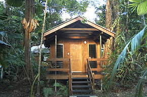 Cape Trib Beach House - Accommodation Mount Tamborine 3