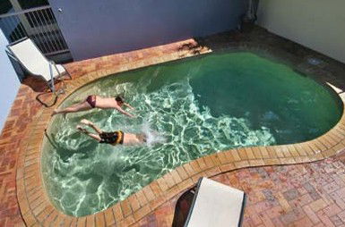 Belvedere Apartments - Accommodation Mount Tamborine 0