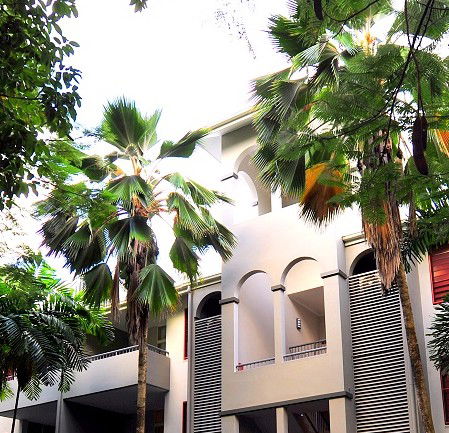 Oasis At Palm Cove - Accommodation Mount Tamborine 2