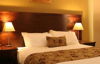 Whale Motor Inn - Accommodation Mount Tamborine 1