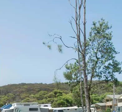 Merry Beach Caravan Park - Accommodation Mount Tamborine 2