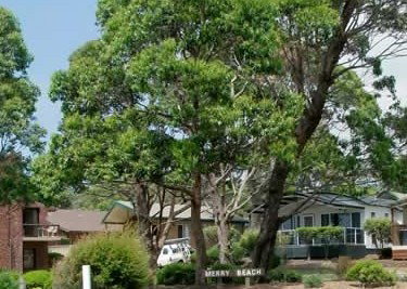 Merry Beach Caravan Park - Accommodation Mount Tamborine 3