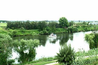 Windsor Terrace Motel - Accommodation Mount Tamborine 1