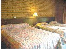Bega Village Motor Inn - Accommodation Mount Tamborine 3