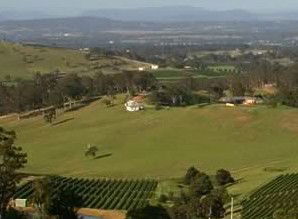 Bimbadeen Estate - Accommodation Mount Tamborine 1