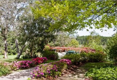 Bilpin Resort - Accommodation Mount Tamborine 2