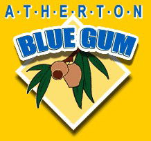 Atherton Blue Gum - Accommodation Mount Tamborine 1