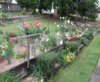 Kintail Homestay - Accommodation Mount Tamborine 0