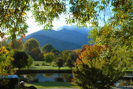 Dreamers Spa Resort - Accommodation Mount Tamborine 4