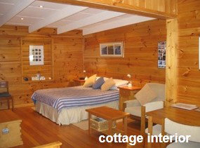 Anglesea Rivergums - Accommodation Mount Tamborine 0