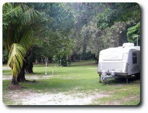 Peninsula Caravan Park - Accommodation Mount Tamborine 2