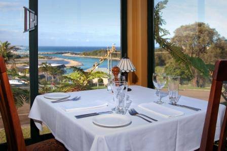 Whale Motor Inn - Accommodation Mount Tamborine 3