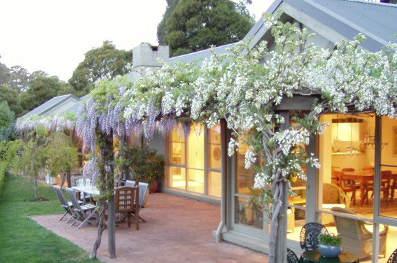 Mount Tomah NSW Accommodation Mount Tamborine