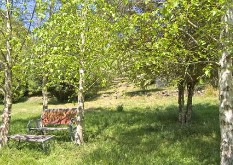 Tomah Mountain Lodge - Accommodation Mount Tamborine 2