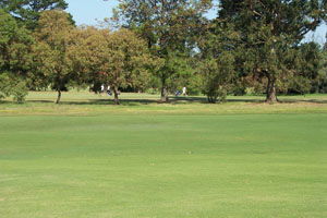 Beach Motor Inn - Accommodation Mount Tamborine 7