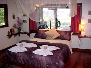 Daintree Cloud 9 - Accommodation Mount Tamborine 0
