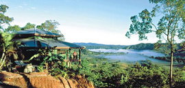 Daintree Cloud 9 - Accommodation Mount Tamborine 1