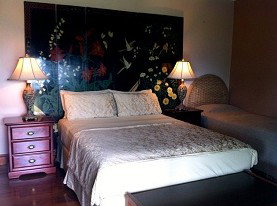 Daintree Manor - Accommodation Mount Tamborine 0