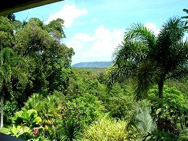 Daintree Manor - Accommodation Mount Tamborine 3