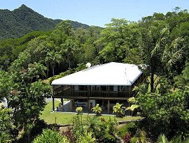 Daintree Manor - Accommodation Mount Tamborine 4