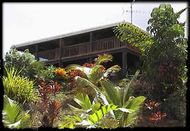Daintree Manor - Accommodation Mount Tamborine 5
