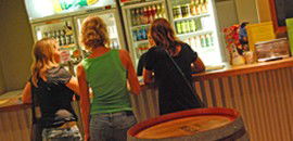 Toddy's Backpackers Resort - Accommodation Mount Tamborine 3