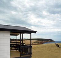 Waves and Wildlife - Accommodation Mount Tamborine