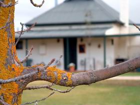 Dunalan Cottage - Accommodation Mount Tamborine 0