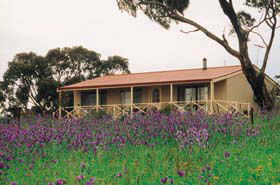 Armagh SA Accommodation Mount Tamborine