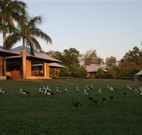 Feathers Sanctuary - Accommodation Mount Tamborine