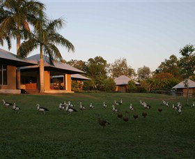 Feathers Sanctuary - Accommodation Mount Tamborine 0