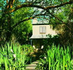 Dennis Cottage - Accommodation Mount Tamborine